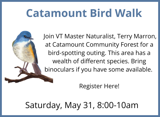 Catamount Bird Walk